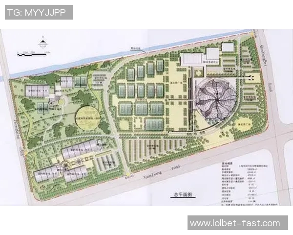 西安网球队的包夹战术解析与深度剖析网球竞技的魅力与挑战